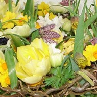demonstration eigen huis & tuin springflower edition - photo andreas verheijen